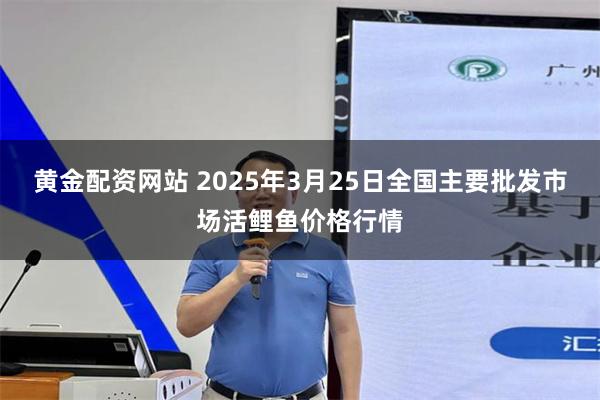 黄金配资网站 2025年3月25日全国主要批发市场活鲤鱼价格行情