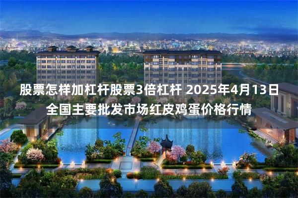 股票怎样加杠杆股票3倍杠杆 2025年4月13日全国主要批发市场红皮鸡蛋价格行情