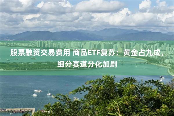 股票融资交易费用 商品ETF复苏：黄金占九成，细分赛道分化加剧