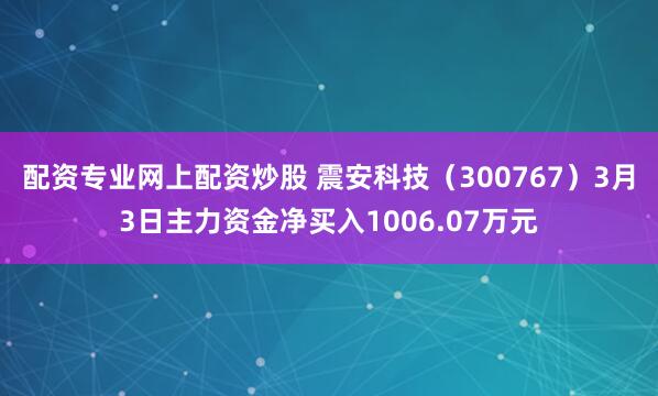 配资专业网上配资炒股 震安科技（300767）3月3日主力资金净买入1006.07万元