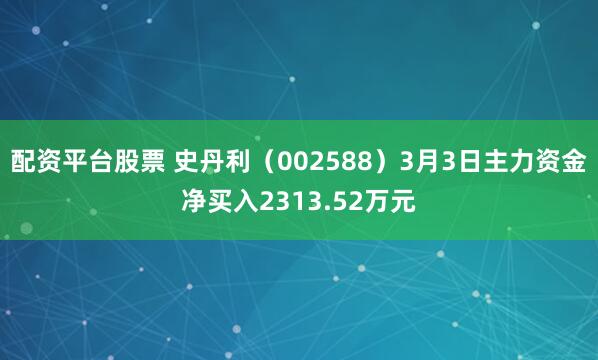 配资平台股票 史丹利（002588）3月3日主力资金净买入2313.52万元