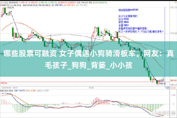 哪些股票可融资 女子偶遇小狗骑滑板车。网友：真毛孩子_狗狗_背篓_小小孩