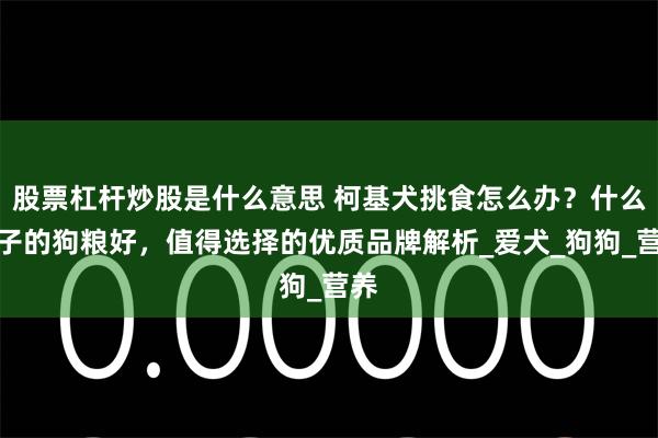 股票杠杆炒股是什么意思 柯基犬挑食怎么办？什么牌子的狗粮好，值得选择的优质品牌解析_爱犬_狗狗_营养