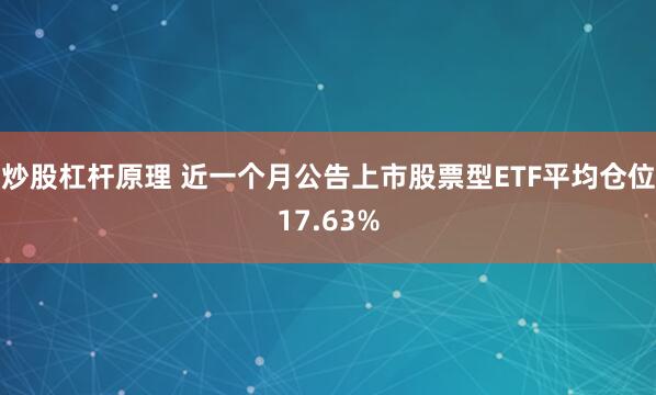 炒股杠杆原理 近一个月公告上市股票型ETF平均仓位17.63%