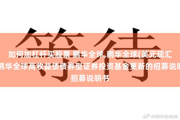 如何加杠杆买股票 鹏华全球,鹏华全球(美元现汇): 鹏华全球高收益债债券型证券投资基金更新的招募说明书