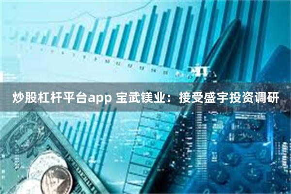 炒股杠杆平台app 宝武镁业：接受盛宇投资调研