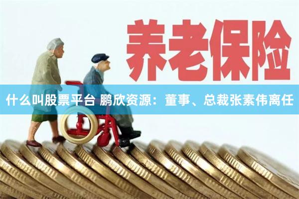 什么叫股票平台 鹏欣资源：董事、总裁张素伟离任