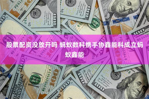 股票配资没放开吗 蚂蚁数科携手协鑫能科成立蚂蚁鑫能