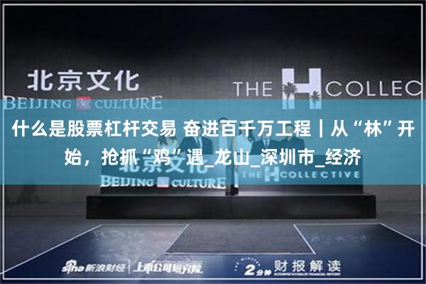 什么是股票杠杆交易 奋进百千万工程｜从“林”开始，抢抓“鸡”遇_龙山_深圳市_经济