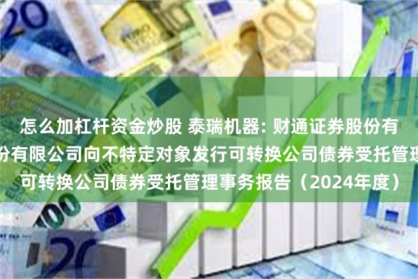 怎么加杠杆资金炒股 泰瑞机器: 财通证券股份有限公司关于泰瑞机器股份有限公司向不特定对象发行可转换公司债券受托管理事务报告（2024年度）