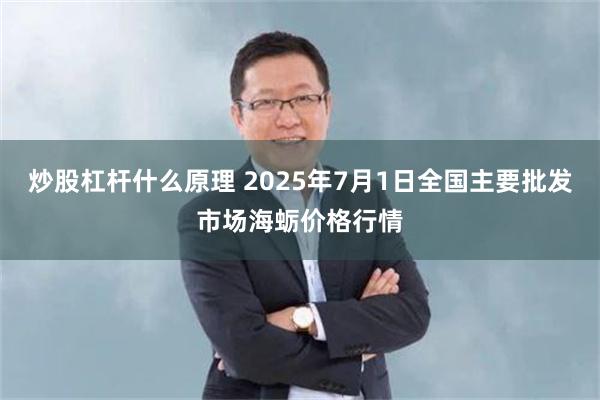 炒股杠杆什么原理 2025年7月1日全国主要批发市场海蛎价格行情