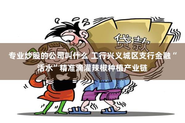 专业炒股的公司叫什么 工行兴义城区支行金融“活水”精准滴灌辣椒种植产业链