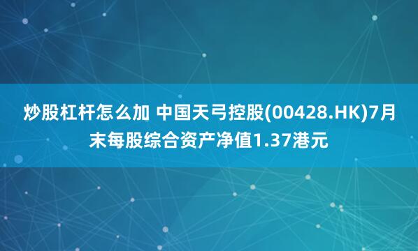 炒股杠杆怎么加 中国天弓控股(00428.HK)7月末每股综合资产净值1.37港元