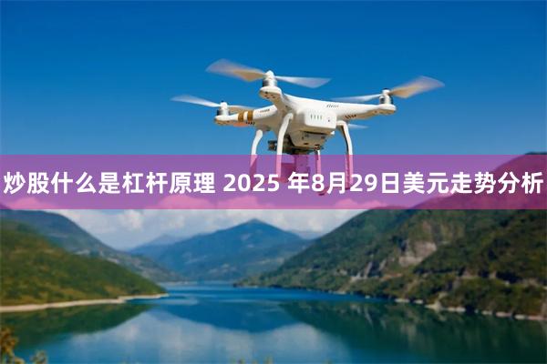 炒股什么是杠杆原理 2025 年8月29日美元走势分析